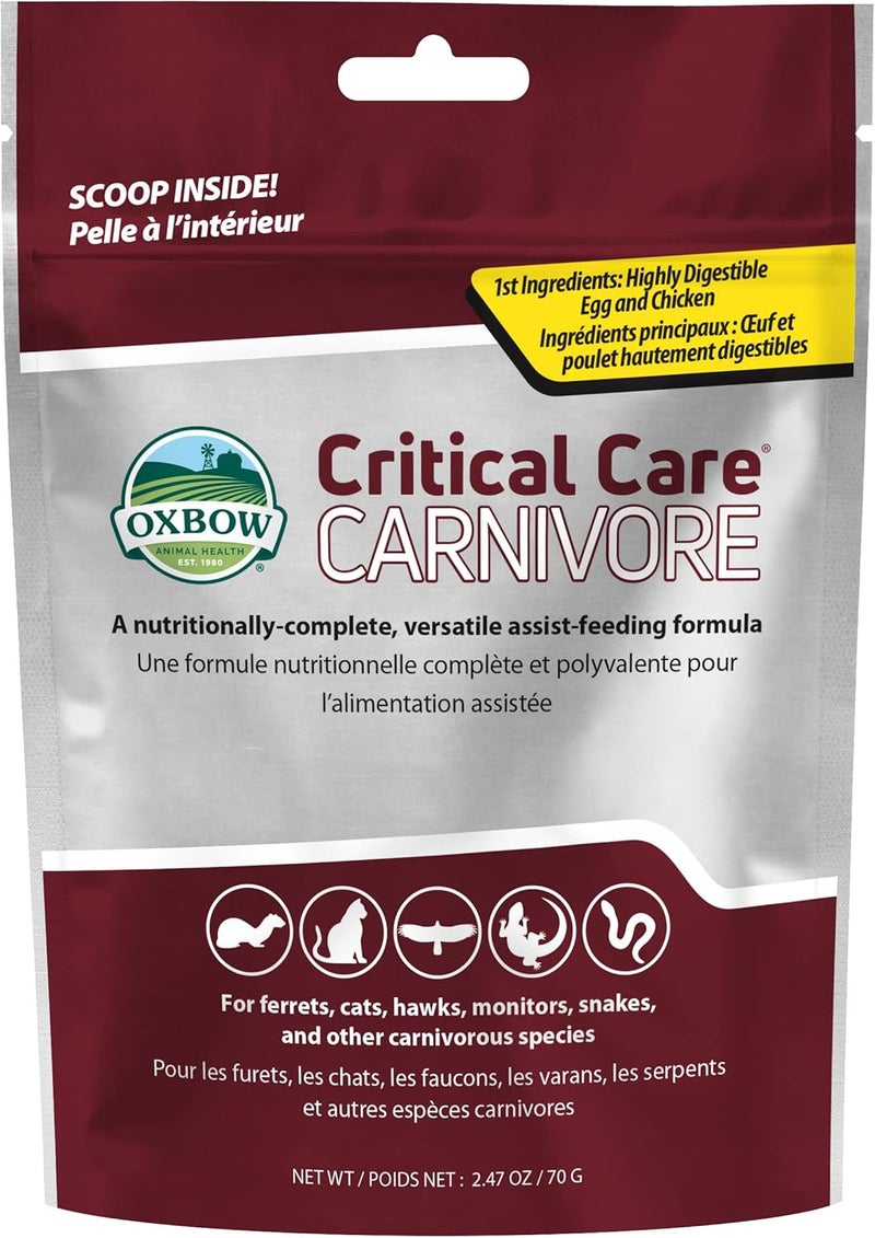 Oxbow Critical Care Carnivore, Made with Whole Egg & Dried Chicken, Assist Feeding Formula for Carnivores, Cat Supplements, Ferret Food Recovery, Small Animal Pet Products, Made in USA, 70 Gram Bag - Image 1